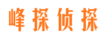 林甸找人公司